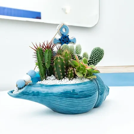 Διαμέρισμα Casa Acqua Marina - Only 6 Steps From The Main Road